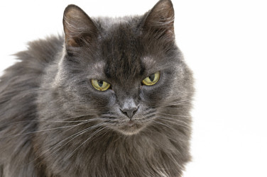 Similar image 1101062