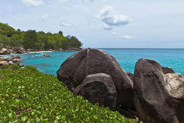 Similar image 1101063