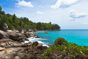 Similar image 1101064