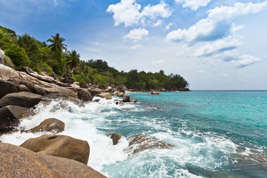 Similar image 1101065