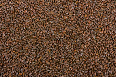 Similar image 1101092