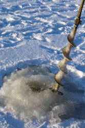 Similar image 1101098