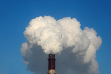 Similar image 1101115