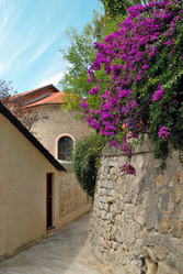 Similar image 1101150