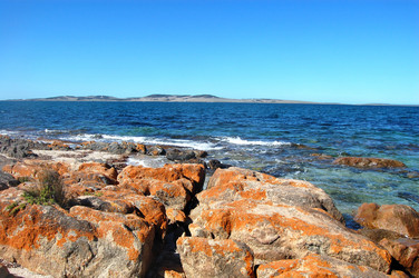 Similar image 1101154