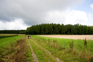 Similar image 1101212