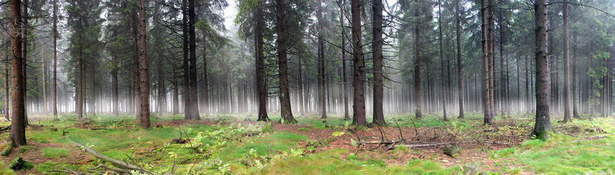 Similar image 1101215