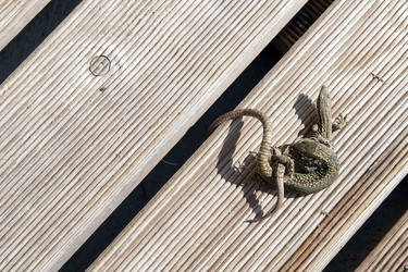 Similar image 1101328