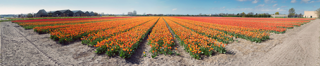 Similar image 1101350