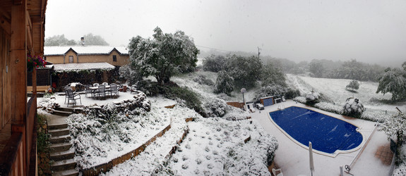 Similar image 1101371