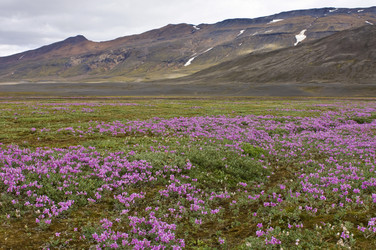 Similar image 1101458