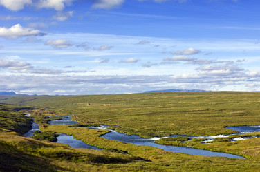 Similar image 1101465