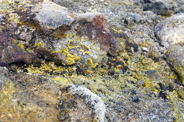 Similar image 1101483