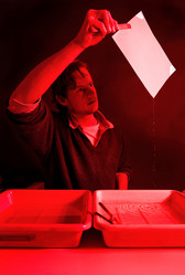 Similar image 1101644