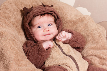 Similar image 1101731