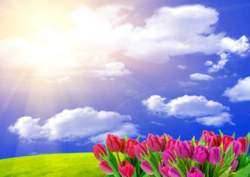 Similar image 1101740