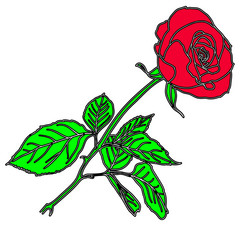 Similar image 1101835