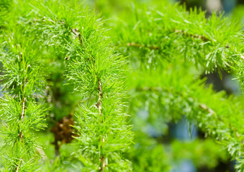 Similar image 1101878