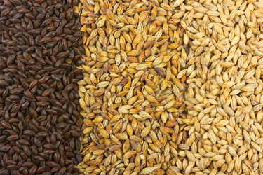 Similar image 1102029