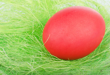 Similar image 1102060