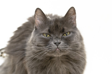 Similar image 1102066