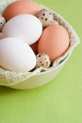 Similar image 1102094