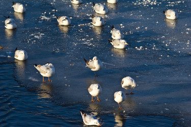 Similar image 1102100