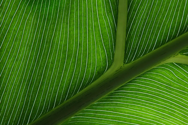 Similar image 1102101