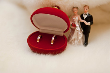 Similar image 1102106