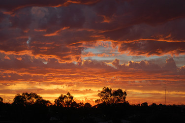 Similar image 1102124