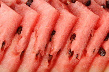 Similar image 1102136