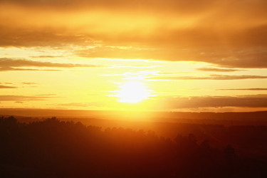 Similar image 1102178