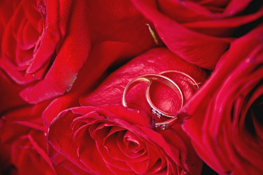 Similar image 1102179