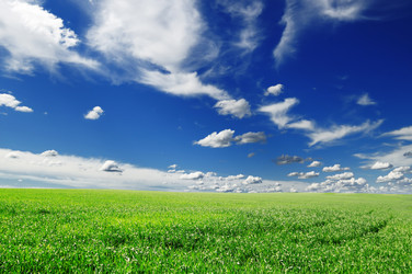 Similar image 1102235