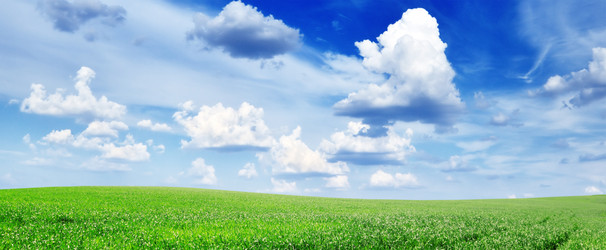 Similar image 1102237