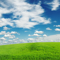 Similar image 1102254