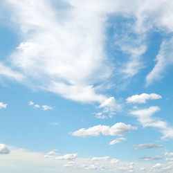 Similar image 1102256