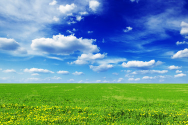 Similar image 1102265