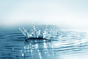 Similar image 1102274