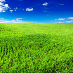 Similar image 1102275