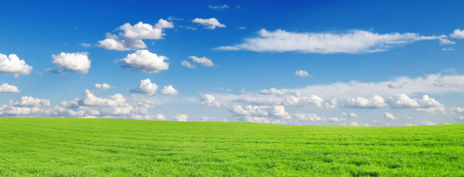 Similar image 1102282