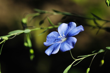 Similar image 1102285