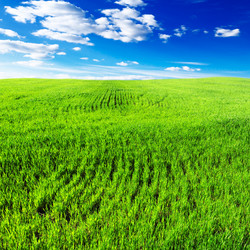 Similar image 1102287