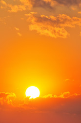 Similar image 1102288