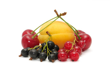 Similar image 1102290