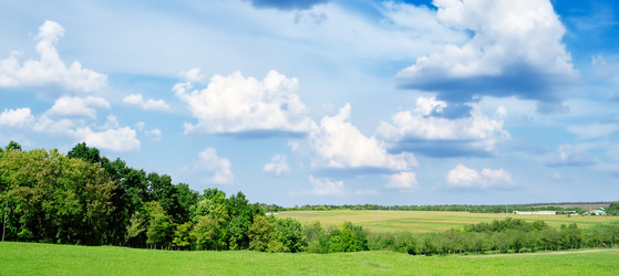 Similar image 1102293