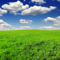 Similar image 1102298