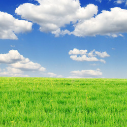 Similar image 1102303