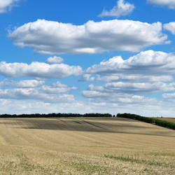 Similar image 1102310