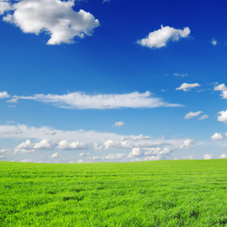 Similar image 1102311